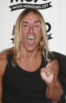 Iggy Pop headshot